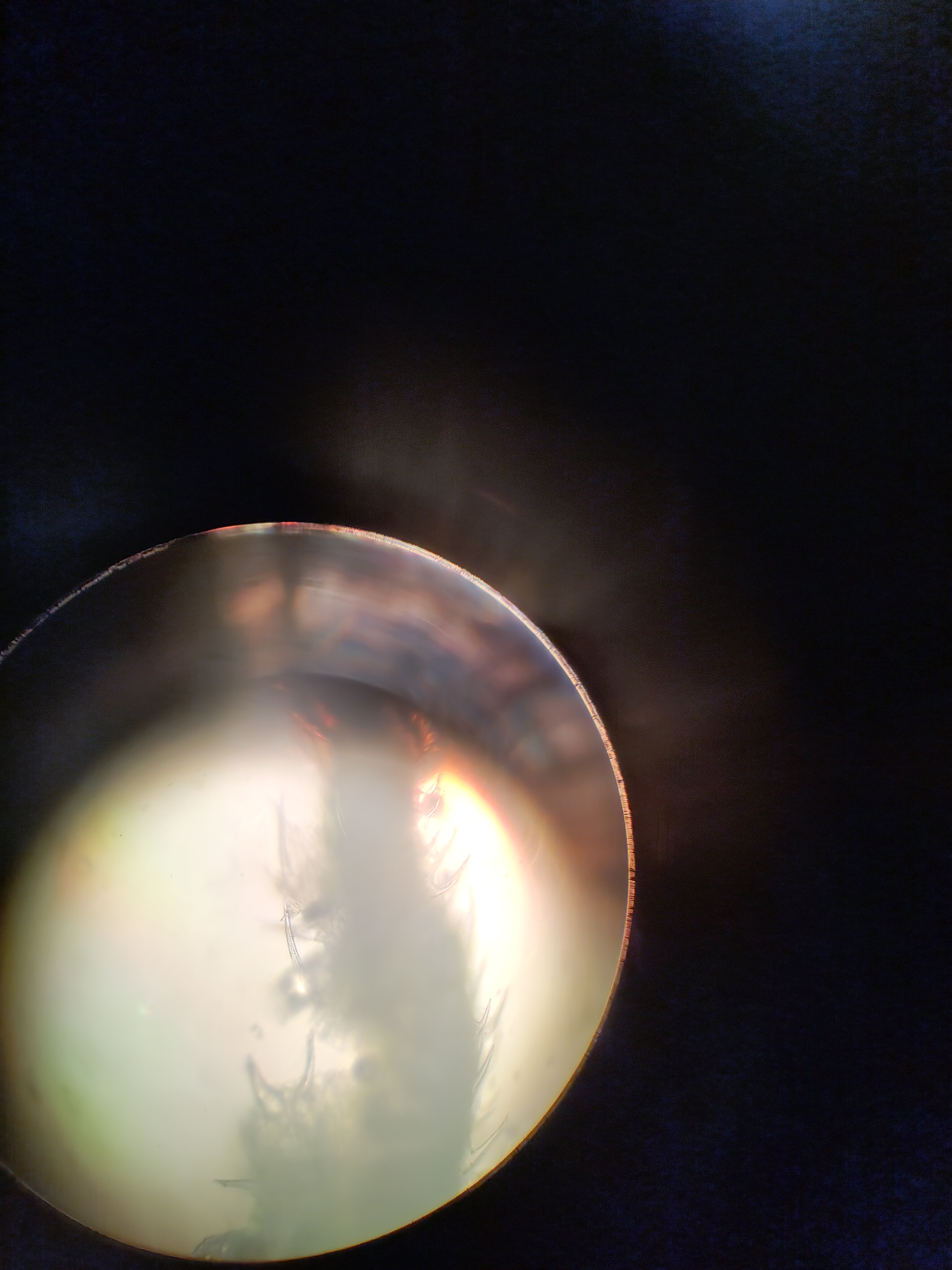 Фото с микроскопа