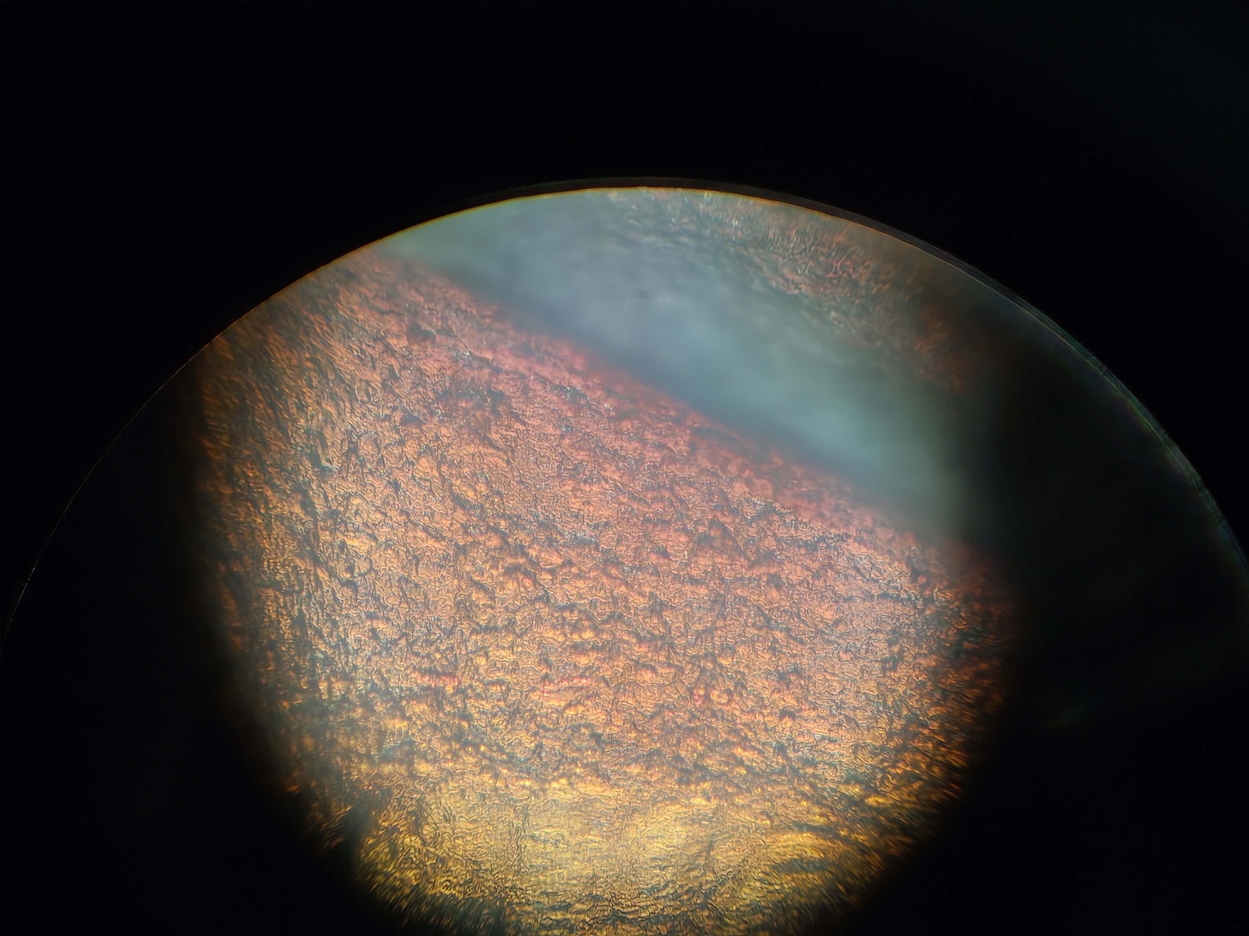 Фото с микроскопа