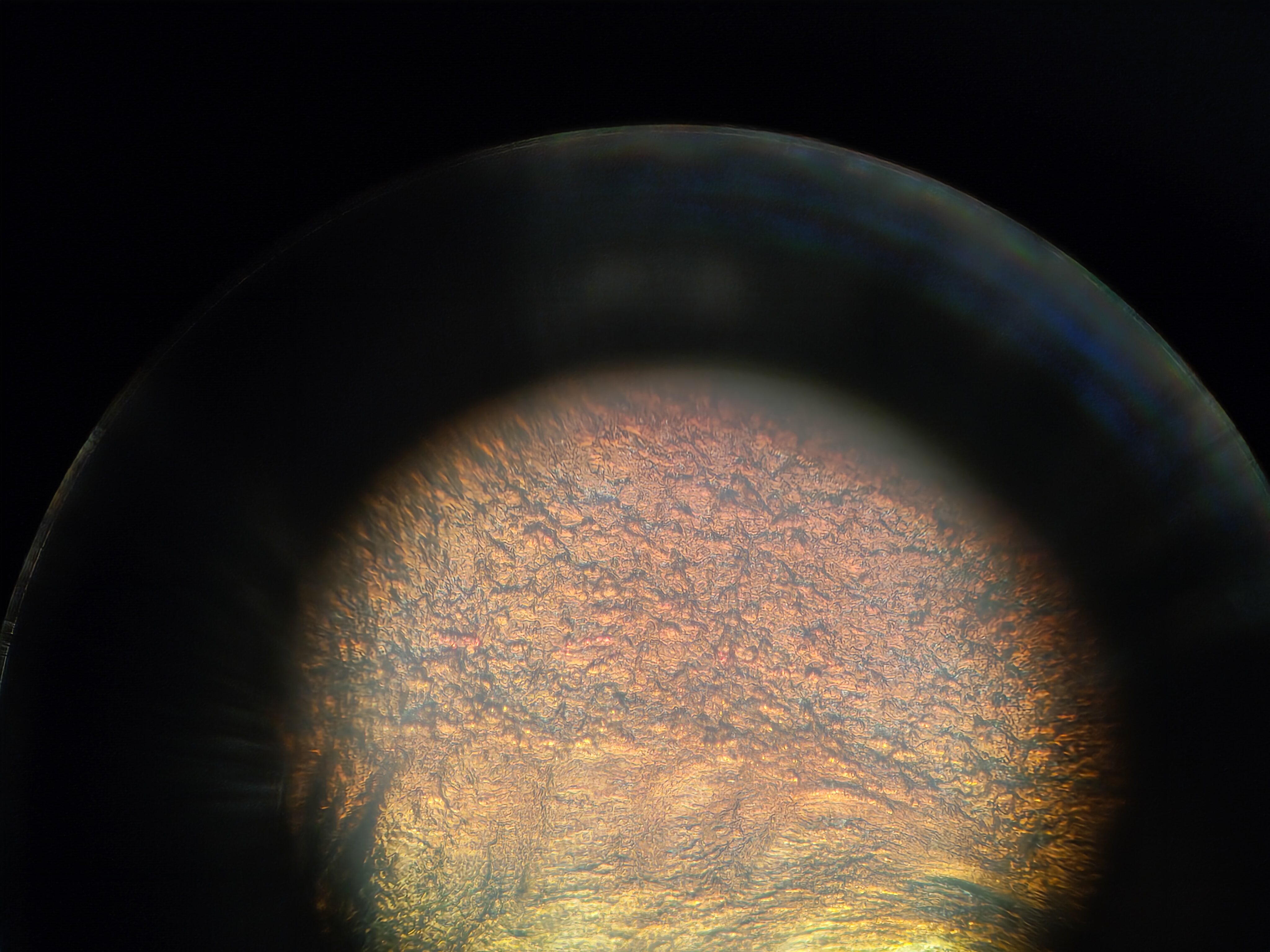 Фото с микроскопа